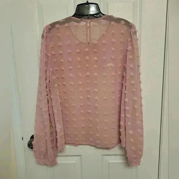 ❤️ Pretty Pink Shein Long Sleeved Sheer Blouse - Picture 9 of 11